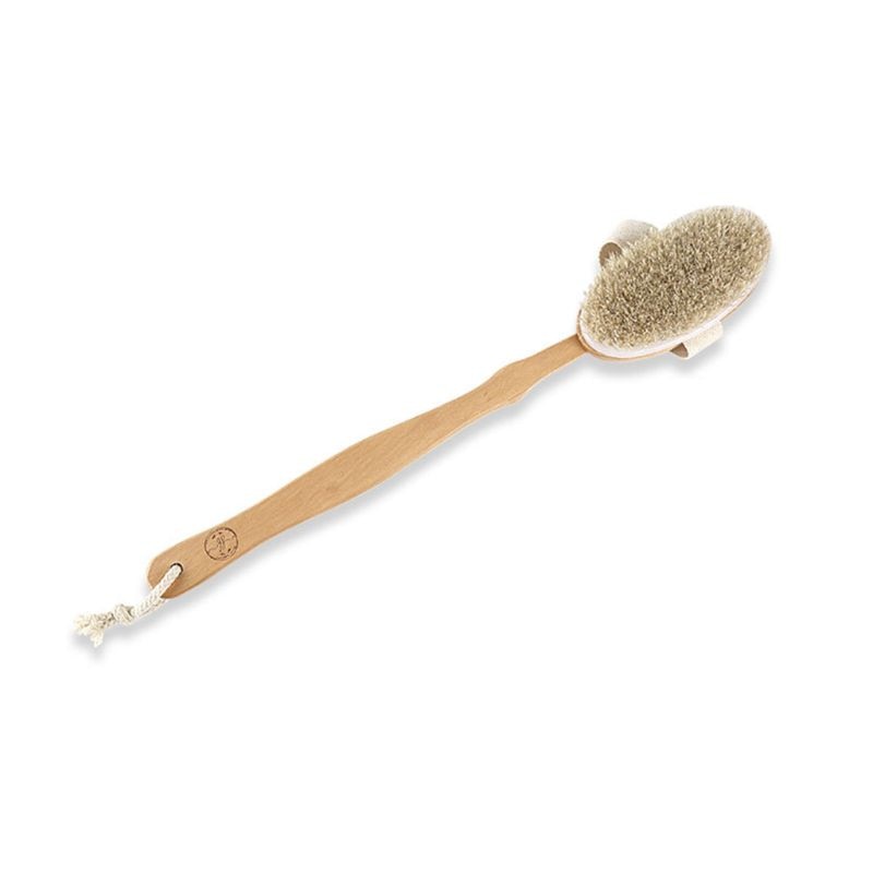 Brosse à poils de sanglier